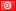flag tunisia flag tunisia