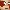 Activity Emoticons